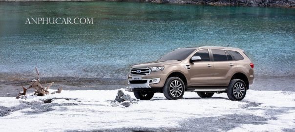 Xe Ford Everest 2019