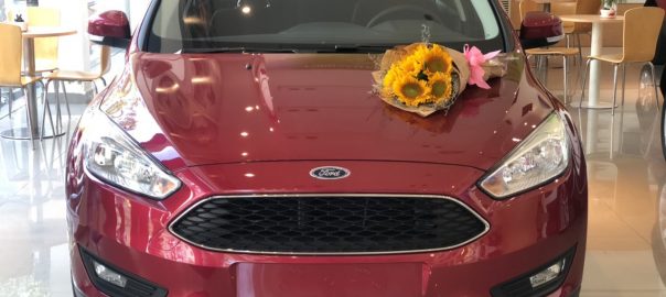 Đầu xe Ford Focus 2019